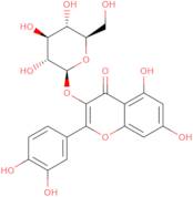 Quercetin 3-b-D-glucopyranoside