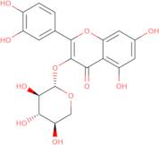 Quercetin 3-O-xyloside