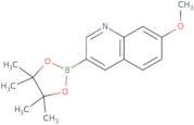 7-Methoxy-3-(4,4,5,5-tetramethyl-1,3,2-dioxaborolan-2-yl)quinoline