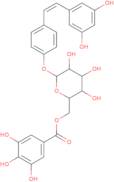 Resveratrol-4’-O-(6”-galloyl)glucoside