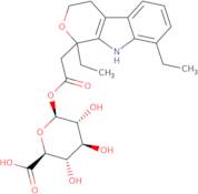 rac etodolac acyl-b-D-glucuronide
