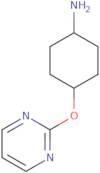 rac-(1R,4R)-4-(Pyrimidin-2-yloxy)cyclohexan-1-amine