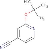 2-(tert-Butoxy)pyridine-4-carbonitrile