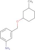 3-{[(3-Methylcyclohexyl)oxy]methyl}aniline