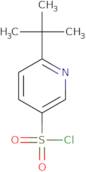 6-tert-Butylpyridine-3-sulfonyl chloride