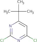 4-tert-Butyl-2,6-dichloropyrimidine