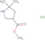 Methyl 5,5-dimethylpyrrolidine-3-carboxylate hydrochloride