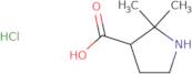 2,2-Dimethylpyrrolidine-3-carboxylic acid hydrochloride