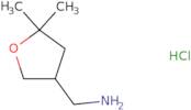 (5,5-Dimethyloxolan-3-yl)methanamine hydrochloride