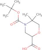 4-[(tert-Butoxy)carbonyl]-5,5-dimethylmorpholine-2-carboxylic acid