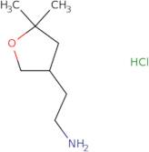 2-(5,5-Dimethyloxolan-3-yl)ethan-1-amine hydrochloride