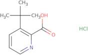 3-tert-Butylpyridine-2-carboxylic acid hydrochloride