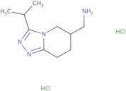 [3-(Propan-2-yl)-5H,6H,7H,8H-[1,2,4]triazolo[4,3-a]pyridin-6-yl]methanamine dihydrochloride