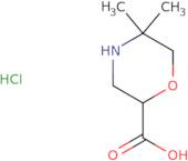 5,5-Dimethylmorpholine-2-carboxylic acid hydrochloride