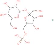 Sucrose 6'-monophosphate dipotassium