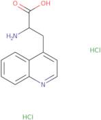 2-Amino-3-quinolin-4-yl-propionic acid dihydrochloride