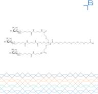 Tri-b-GalNAc-PEG5-carboxylic acid