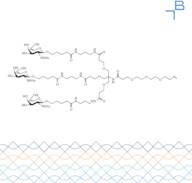 Tri-b-GalNAc-PEG3-azide