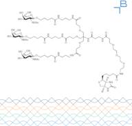 Tri-b-GalNAc-b-alanine-PEG3-biotin