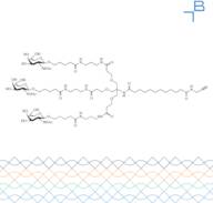 Tri-b-GalNAc-C12-alkyne