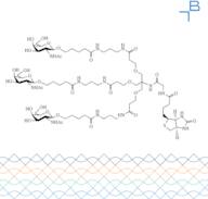 Tri-b-GalNAc-gly-biotin