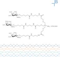 Tri-b-GalNAc-amine TFA salt