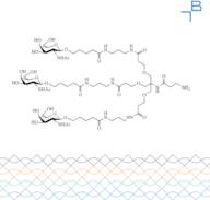 Tri-b-GalNAc-b-alanine-NH2