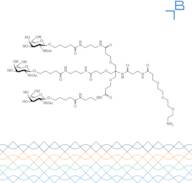 Tri-b-GalNAc-b-alanine-PEG3-amine