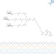 Tri-b-GalNAc-b-alanine-PEG4-DBCO