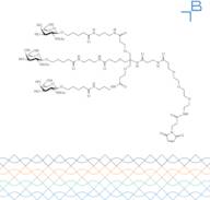 Tri-b-GalNAc-b-alanine-PEG3-maleimide