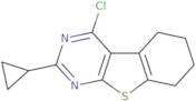 3-Chloro-5-cyclopropyl-8-thia-4,6-diazatricyclo[7.4.0.0,2,7]trideca-1(9),2,4,6-tetraene