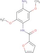 N-(4-Amino-2,5-dimethoxyphenyl)furan-2-carboxamide