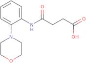 N-(2-Morpholin-4-yl-phenyl)-succinamic acid