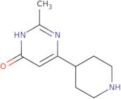 2-Methyl-6-(piperidin-4-yl)pyrimidin-4-ol