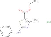 Ethyl 4-methyl-2-(phenylamino)-1,3-thiazole-5-carboxylate hydrochloride