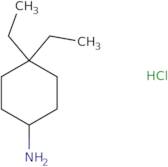 4,4-Diethylcyclohexan-1-amine hydrochloride