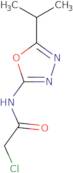 2-Chloro-N-[5-(propan-2-yl)-1,3,4-oxadiazol-2-yl]acetamide