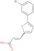 (2E)-3-[5-(3-Bromophenyl)thiophen-2-yl]prop-2-enoic acid