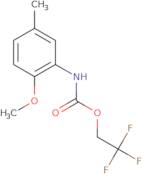 2,2,2-Trifluoroethyl N-(2-methoxy-5-methylphenyl)carbamate