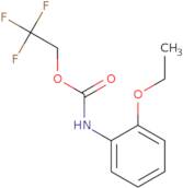 2,2,2-Trifluoroethyl N-(2-ethoxyphenyl)carbamate