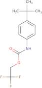 2,2,2-Trifluoroethyl N-(4-tert-butylphenyl)carbamate