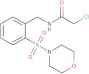 2-Chloro-N-{[2-(morpholine-4-sulfonyl)phenyl]methyl}acetamide