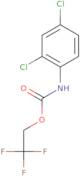 2,2,2-Trifluoroethyl N-(2,4-dichlorophenyl)carbamate