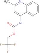 2,2,2-Trifluoroethyl 2-methylquinolin-4-ylcarbamate