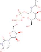 UDP-N-acetyl-D-glucosamine