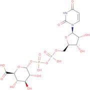 UDP-Î±-D-galacturonic acid