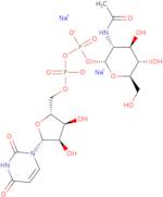 UDP-GlcNAc disodium salt