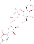 UDP-N-acetyl-D-mannosamine