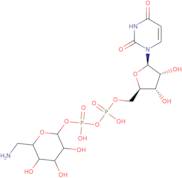 UDP-6-amino-6-deoxy-D-glucose