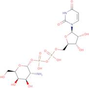 UDP-D-galactosamine disodium salt